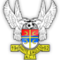 堪培拉白鹰U23logo