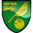 诺域治U21logo
