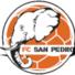 圣佩德罗FClogo