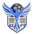 深圳队logo