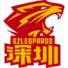 深圳新世纪后备队logo